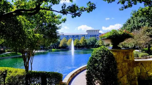Upscale Plano, Texas neighborhood with a backyard pool at sunset